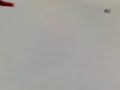 Schlittenfahren