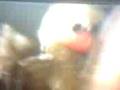 videos de reclame