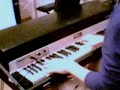Golden Rhodes