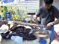 orthodox-christian-pascha-easter-video.html