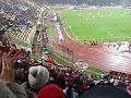 Bologna - Mantova (Posticipo) \"Commissario Rex\" Bologna - Mantova (Posticipo) \"Commissario Rex\"