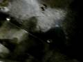 videos de vw camper van beetle type4 2.0L rebuild 23