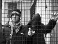 TRAWNIK-MOWIE WAM CZESC