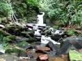 Cachoeiras em Alto Alegre do Parecis - Rond&ocirc;nia