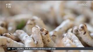 뉴스투데이