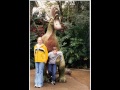 In Loving Memory of Michael Fresch
