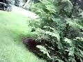 Riding dirt bike... Riding dirt bike...