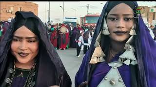 الموسيقى والأغنية التارقية / التيندي سيدة موسيقى إيموهاغ من التاسيلي إلى العالمية.