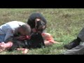 zombie attack scene rough cut zombie attack scene rough cut