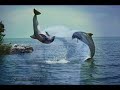 animales algunos graciosos otros lindos