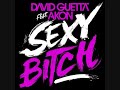 David Guetta Feat. Akon – Sexy Bitch