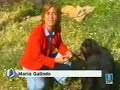 TVE (1º EDICION) HABLA DEL PGS - ESPAÑA TVE (1º EDICION) HABLA DEL PGS - ESPAÑA