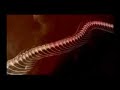 cynthia-harrel-snake-eater-subtitulado.html