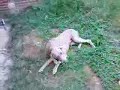 another test of my phone