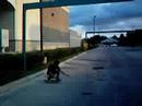 Kickflip Pink Stinger