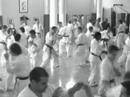 Fighting Klass traditionnel Fighting Klass traditionnel