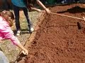 horta comunitária e composteira