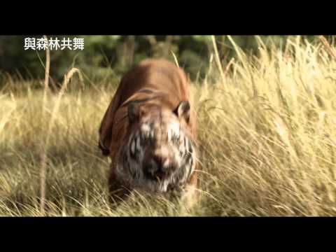 【與森林共舞】官方預告