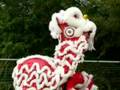 CHOY LEE FUT CHILE