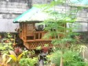 JYB GARDEN