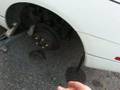 videos de My Fairlady Z32 P6