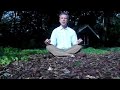 mindfulnessnow