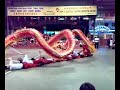 btu chinwoo dragon dance at johor