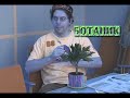корпоративный видео-подарок