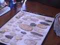 Paleo Indian Fluted Point Clovis Fight Hunt Mastodon