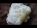 Macro video of ants carrying a cracker shot at 5x magnification