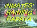 evolution of dance papaya bjmp qdj inmates raining papaya 