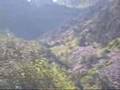 The Pyrenees Mountains: Climbing Andorra's Coma Pedrosa
