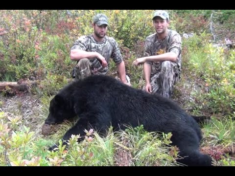 how to locate elk