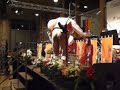 Musiker sind doch alle irgendwie verr�ckt