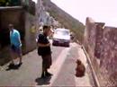GibrALTAr 2007 matte & dave GibrALTAr 2007 matte & dave