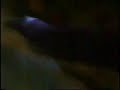 belly punch from MKC belly punch from MKC