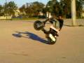 videos de yassine the stunter