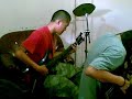 anino mo - Sampal gulat