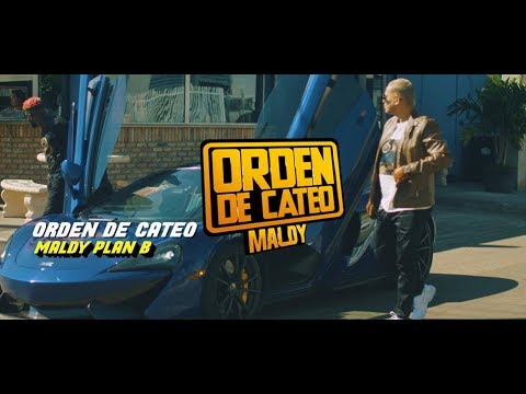 Orden de cateo - Maldy