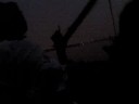 random videos