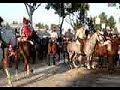 PASEO FERIA SEVILLA CABALLOS ENGANCHES 2 PASEO FERIA SEVILLA CABALLOS ENGANCHES 2