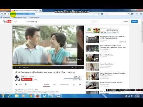 Cara Mudah Download Video Youtube Lewat Hp