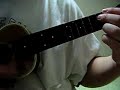 Little Lamb Dragonfly Paul McCartney Cover