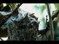 Hummingbirds Part 4 ~ Out My Kitchen Window