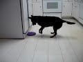 Frisbee Hockey