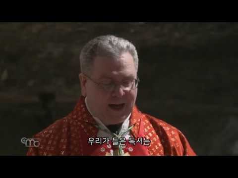저희의 유일한 희망이신 승리의 십자가