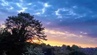 Sunrise Time Lapse over London suburb treetops, UK