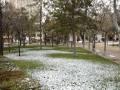 nieve