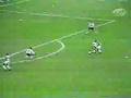 Edilson Palmeiras