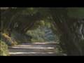 Dacia Sandero - Driving shots